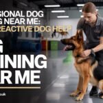 dog training near me