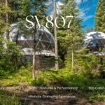 sv807